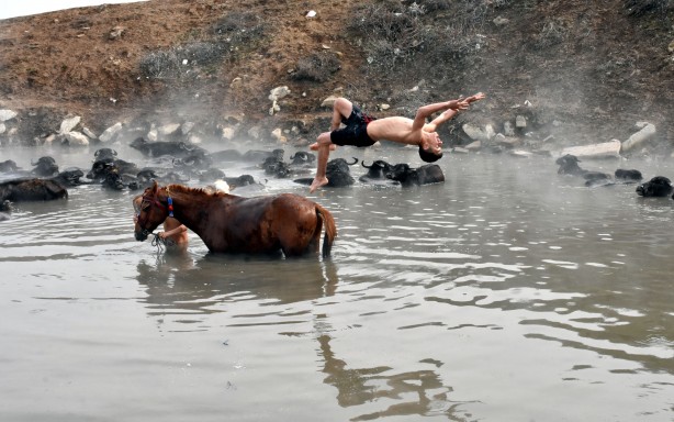 Foto - Manda ve atların kaplıca keyfi görülmeye değer!