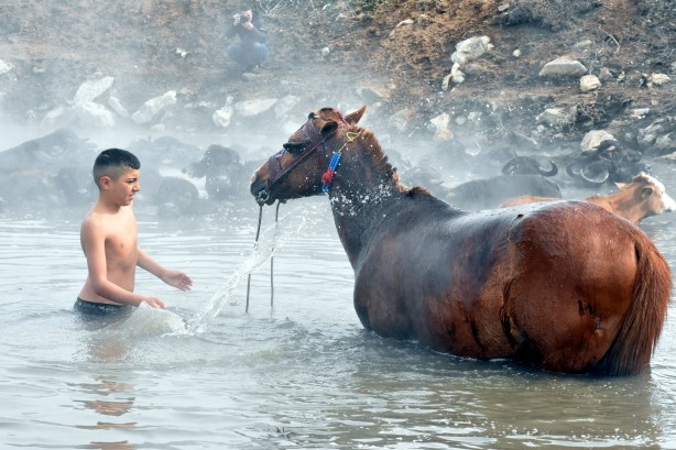 Foto - Manda ve atların kaplıca keyfi görülmeye değer!