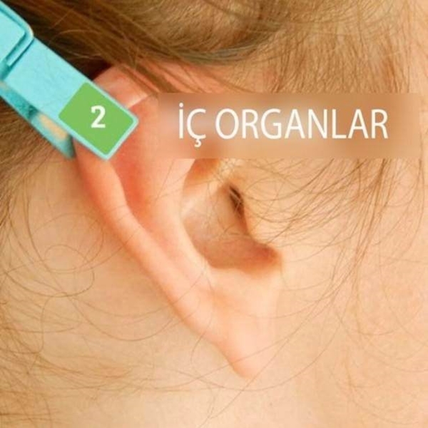 Foto - Mandalın ağrı kesici olduğunu biliyor muydunuz?