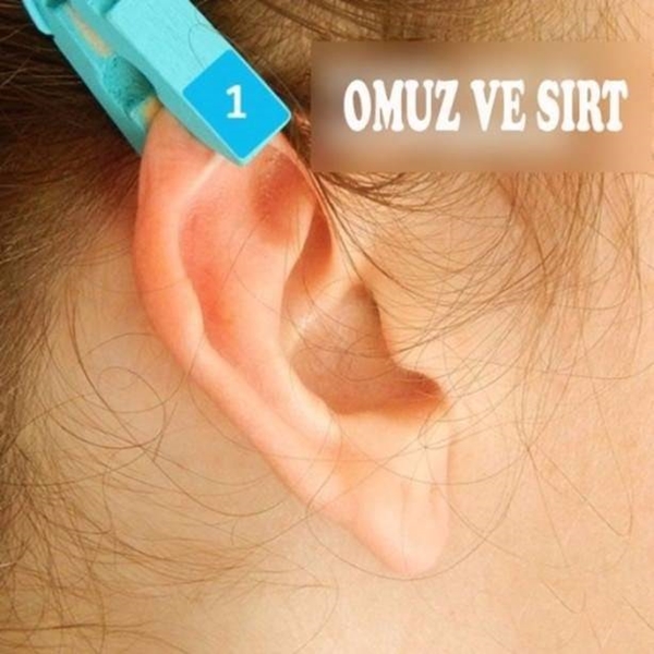 Foto - Mandalın ağrı kesici olduğunu biliyor muydunuz?