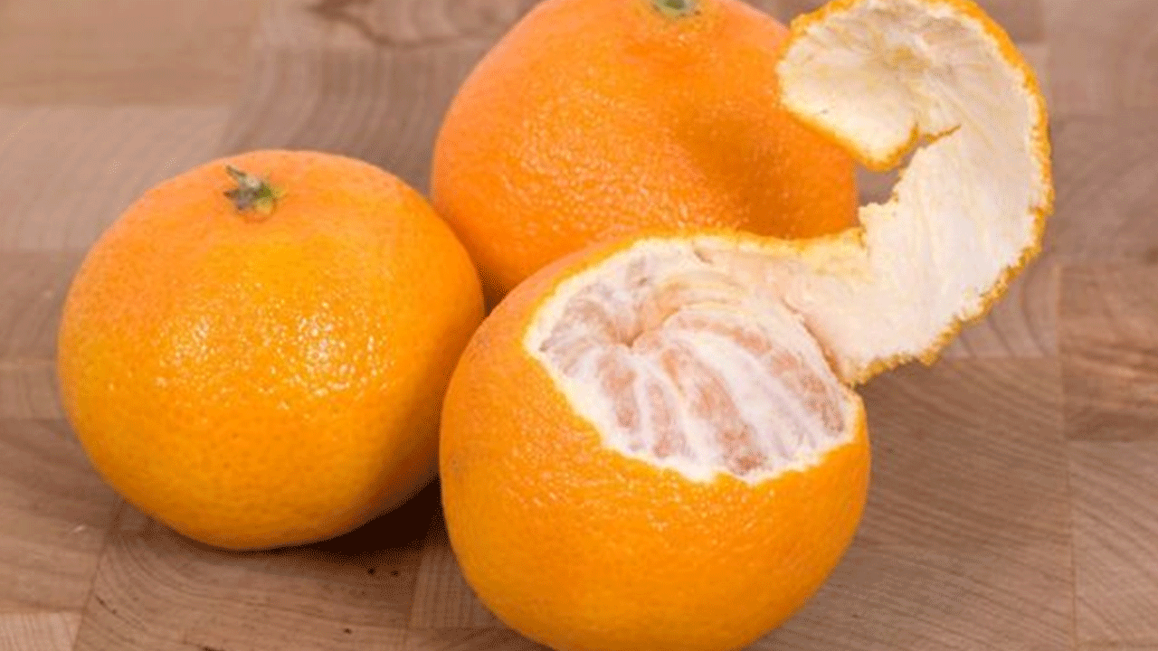 Foto - Mandalina kabuğunu peteğin üstüne koyunca bakın ne oluyor!
