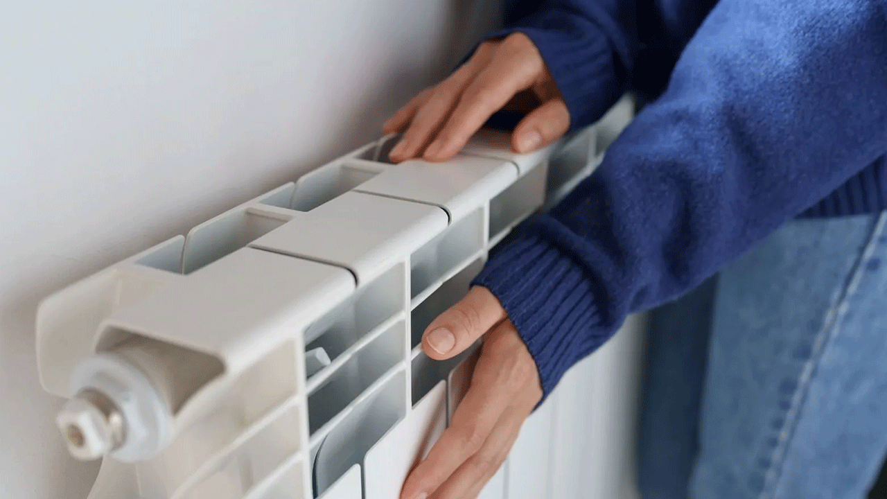 Foto - Mandalina kabuğunu peteğin üstüne koyunca bakın ne oluyor!