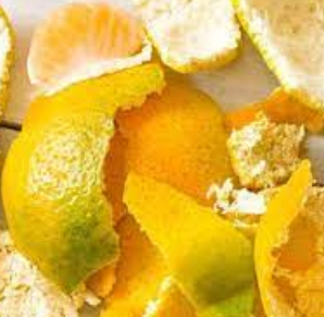 Mandalina kabukları şifa deposu sakın atmayın! Duyan herkes şaşkın, kimse bu kadarını kimse beklemiyordu