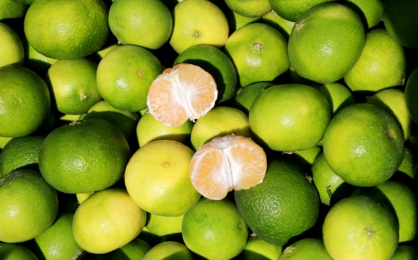 Foto - Mandalina üreticinin yüzünü güldürdü