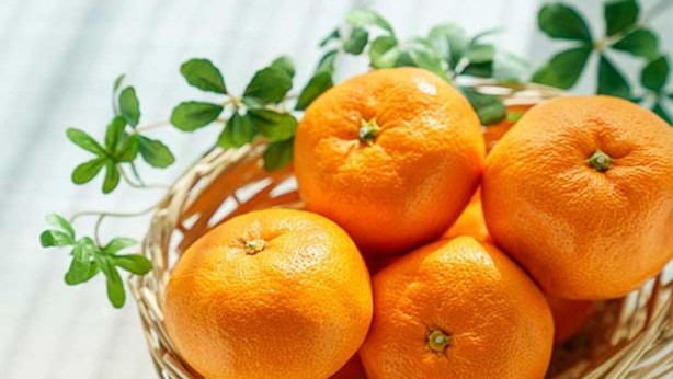 Foto - Mandalinanın 10 kanıtlanmış faydası