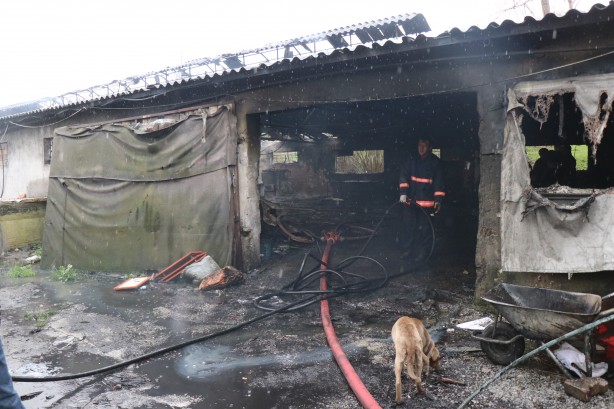 Foto - Mangal kömürü üretim tesisi alev alev yandı