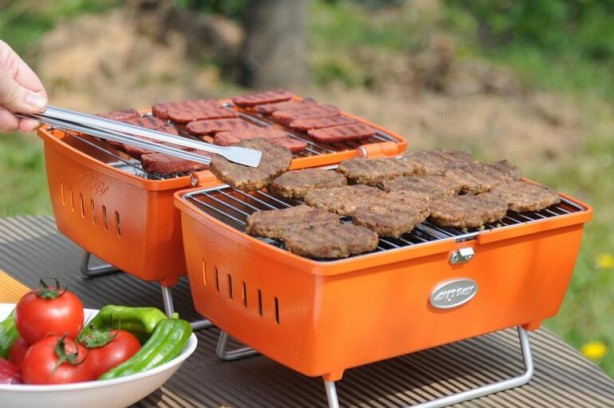 Foto - Mangal yasağı ne zaman kalkacak?