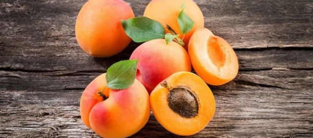 Foto - Mango bir ayda 12 kilo verdiriyor!