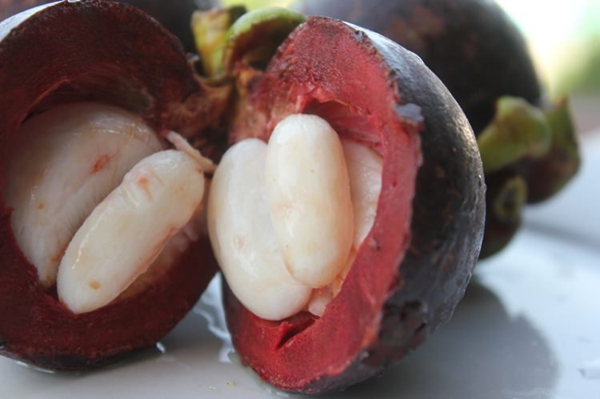Foto - Mangosteen meyvesi kanserle savaşıyor!