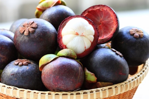  Mangosteen meyvesi kanserle savaşıyor!