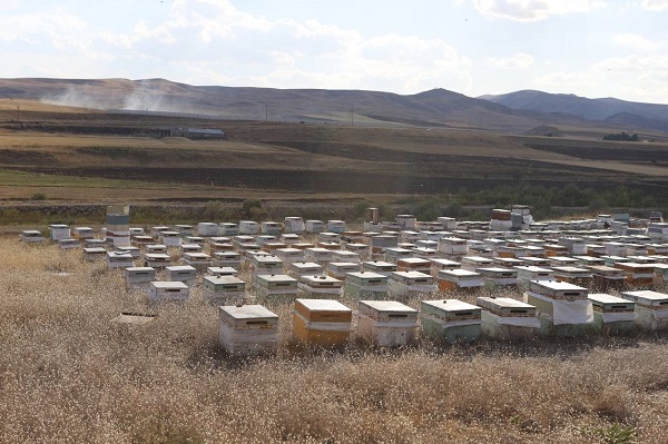 Foto - Manifaturacılığı bıraktı bu işe başladı! Kanser hastası oğlunu bu yöntemle tedavi etti