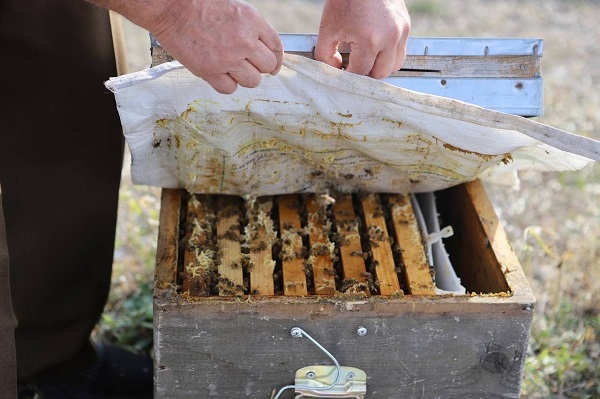 Foto - Manifaturacılığı bıraktı bu işe başladı! Kanser hastası oğlunu bu yöntemle tedavi etti