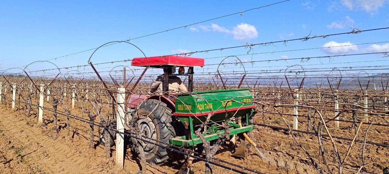Foto - Manisa'da üzüm bağlarına kış bakımı başladı