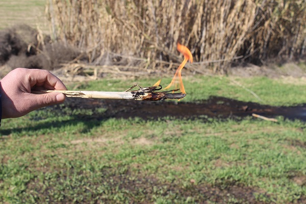 Foto - Manisalı çiftçi hayatının şokunu yaşadı! Su ararken öyle bir şey buldu ki!