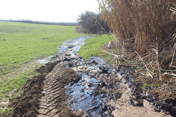 Manisalı çiftçi hayatının şokunu yaşadı! Su ararken öyle bir şey buldu ki!