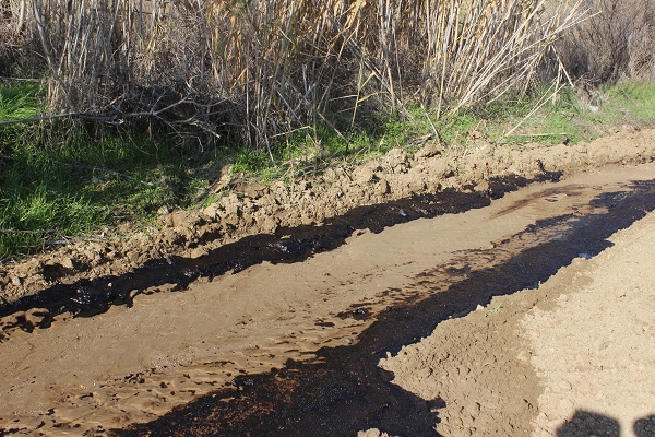 Foto - Manisalı çiftçi hayatının şokunu yaşadı! Su ararken öyle bir şey buldu ki!