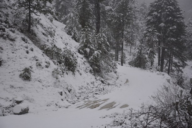 Foto - Manisa'nın yüksek kesimlerinde kar yağışı