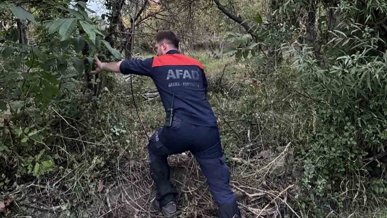 Foto - Mantar toplama kabusa dönüştü! Ormanda kaybolan kadın aranıyor