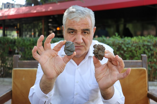 Foto - Mantar toplarken buldu! Gramına 200 dolar teklif aldı