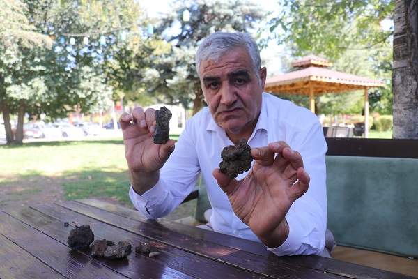 Mantar toplarken buldu! Gramına 200 dolar teklif aldı