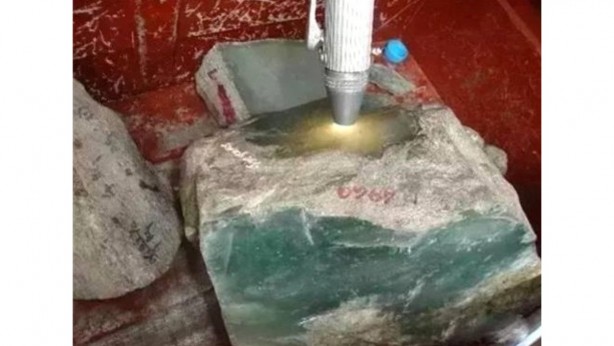 Foto - Mantar toplarken büyük hazine buldu! Sadece bir gramı 5 bin TL! Üst kısmını soyunca bakın ne çıktı