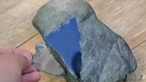Foto - Mantar toplarken büyük hazine buldu! Sadece bir gramı 5 bin TL! Üst kısmını soyunca bakın ne çıktı
