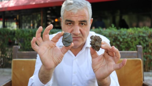 Foto - Mantar toplarken büyük hazine buldu! Sadece bir gramı 5 bin TL! Üst kısmını soyunca bakın ne çıktı