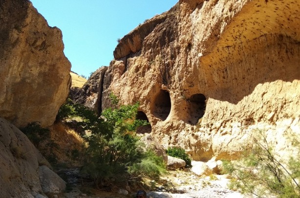 Foto - Mantar toplarken keşfedilen Saklıkapı kanyonu ziyaretçilerini adeta büyülüyor