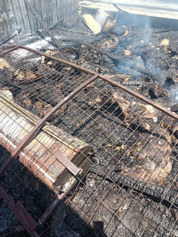 Foto - Manyas’taki çiftlik yangınında 52 koyun telef oldu