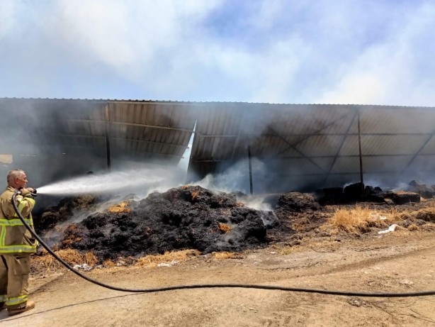Foto - Manyas’taki çiftlik yangınında 52 koyun telef oldu