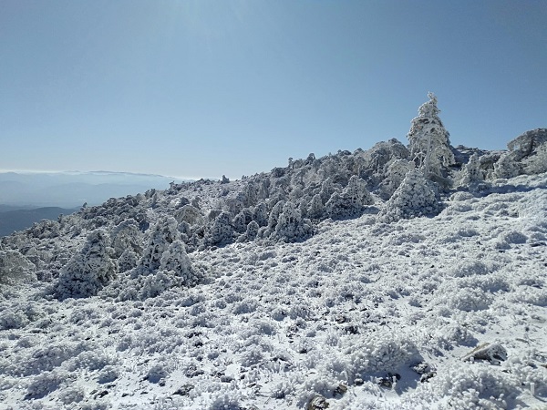Foto - Manzara görenleri mest etti! Dikkatli bakın burası Sibirya değil Türkiye