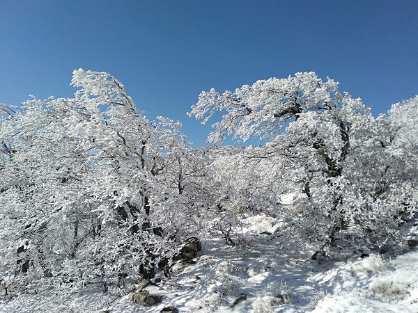 Foto - Manzara görenleri mest etti! Dikkatli bakın burası Sibirya değil Türkiye