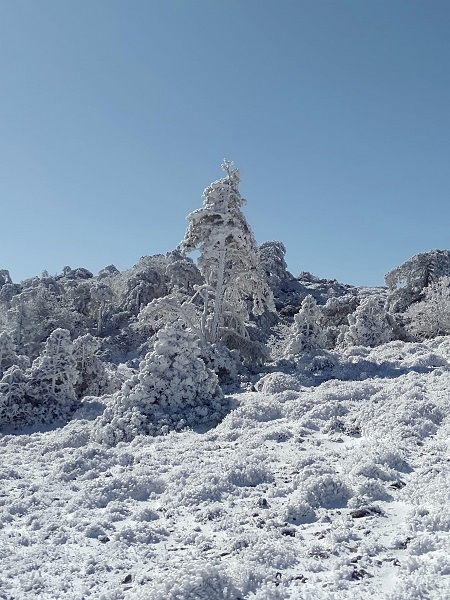 Foto - Manzara görenleri mest etti! Dikkatli bakın burası Sibirya değil Türkiye
