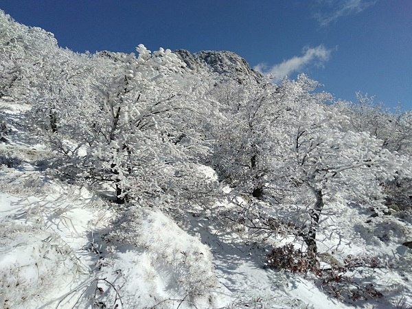 Foto - Manzara görenleri mest etti! Dikkatli bakın burası Sibirya değil Türkiye