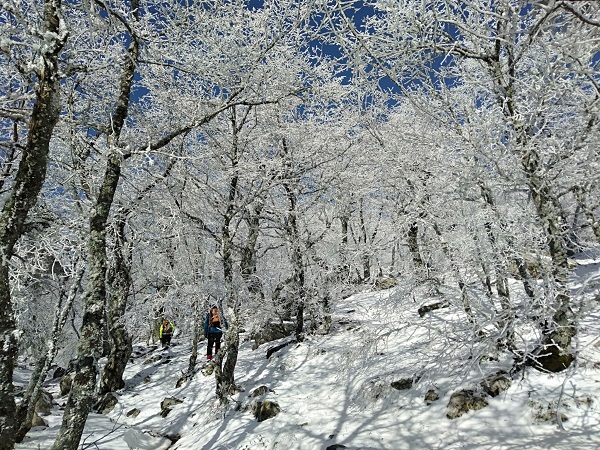 Foto - Manzara görenleri mest etti! Dikkatli bakın burası Sibirya değil Türkiye