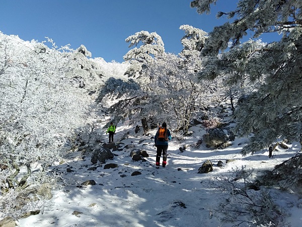 Foto - Manzara görenleri mest etti! Dikkatli bakın burası Sibirya değil Türkiye