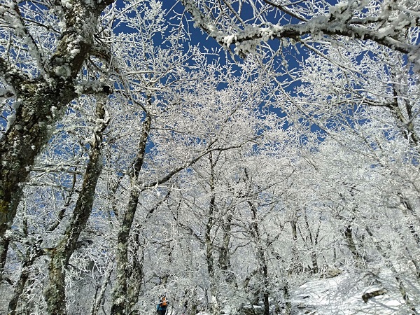 Foto - Manzara görenleri mest etti! Dikkatli bakın burası Sibirya değil Türkiye