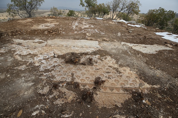 Foto - Mardin’de büyük keşif! Deniz canlıları figürlü mozaikler bulundu