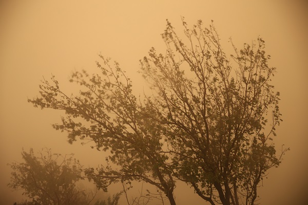 Foto - Mardin'de toz taşınımı etkili oldu 