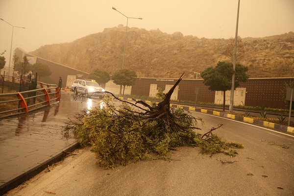 Foto - Mardin'de toz taşınımı etkili oldu 