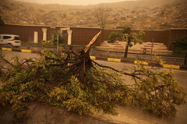 Foto - Mardin'de toz taşınımı etkili oldu 