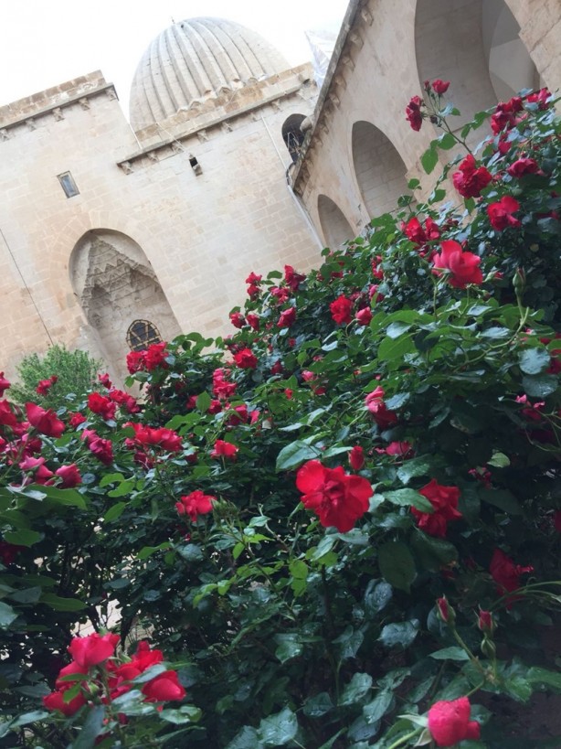 Foto - Mardin'in gözde yapılarından: Zinciriye Medresesi - 1