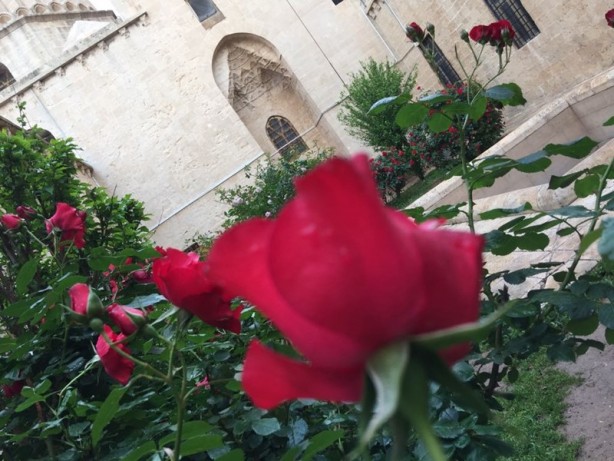 Foto - Mardin'in gözde yapılarından: Zinciriye Medresesi - 2