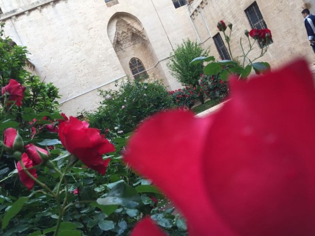 Foto - Mardin'in gözde yapılarından: Zinciriye Medresesi - 2