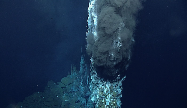 Foto - Mariana Çukuru’ndan gelen gizemli ses! Uzaylı sandılar, gerçek çok başka çıktı