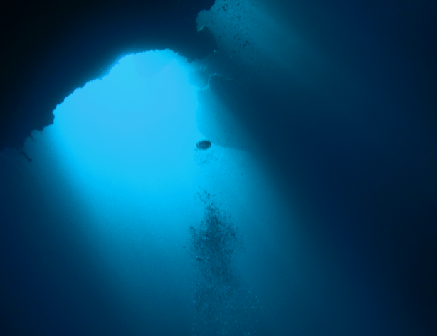 Foto - Mariana Çukuru’ndan gelen gizemli ses! Uzaylı sandılar, gerçek çok başka çıktı