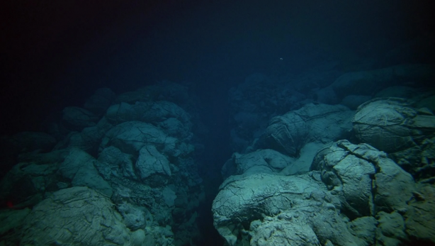 Foto - Mariana Çukuru’ndan gelen gizemli ses! Uzaylı sandılar, gerçek çok başka çıktı