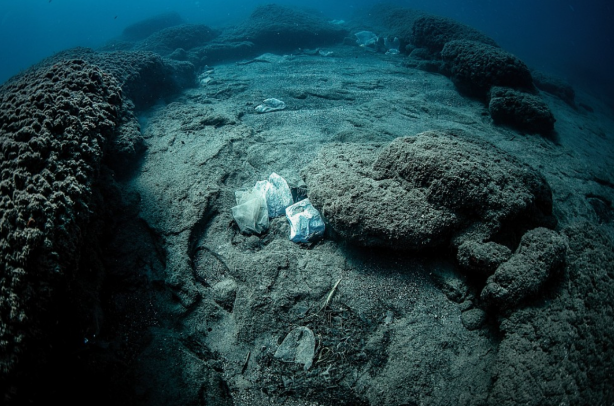 Foto - Mariana Çukuru’ndan gelen gizemli ses! Uzaylı sandılar, gerçek çok başka çıktı