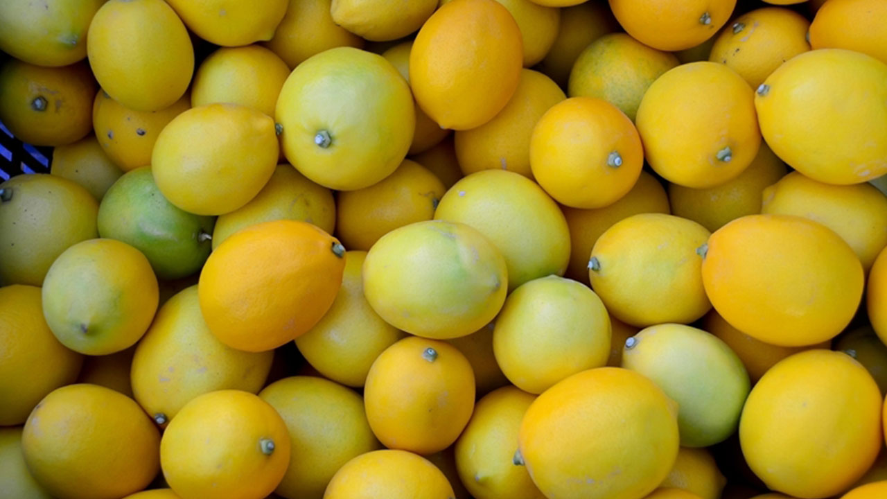 Market fiyatları vatandaşı çileden çıkartmıştı! Hükümetten son dakika limon kararı: Durduruldu