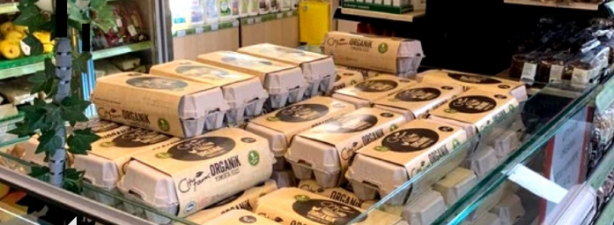 Foto - Market raflarında yerini alıyordu! Yumurta devi konkordato ilan etti